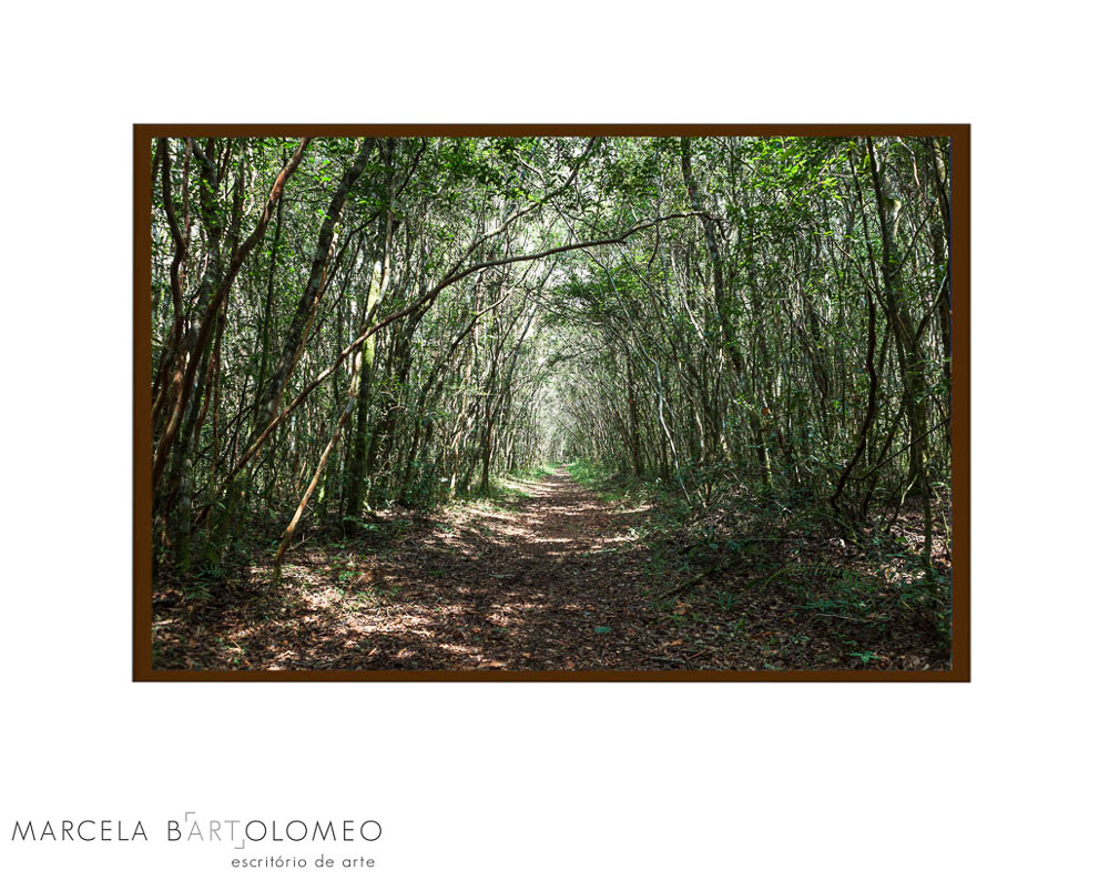 caminho